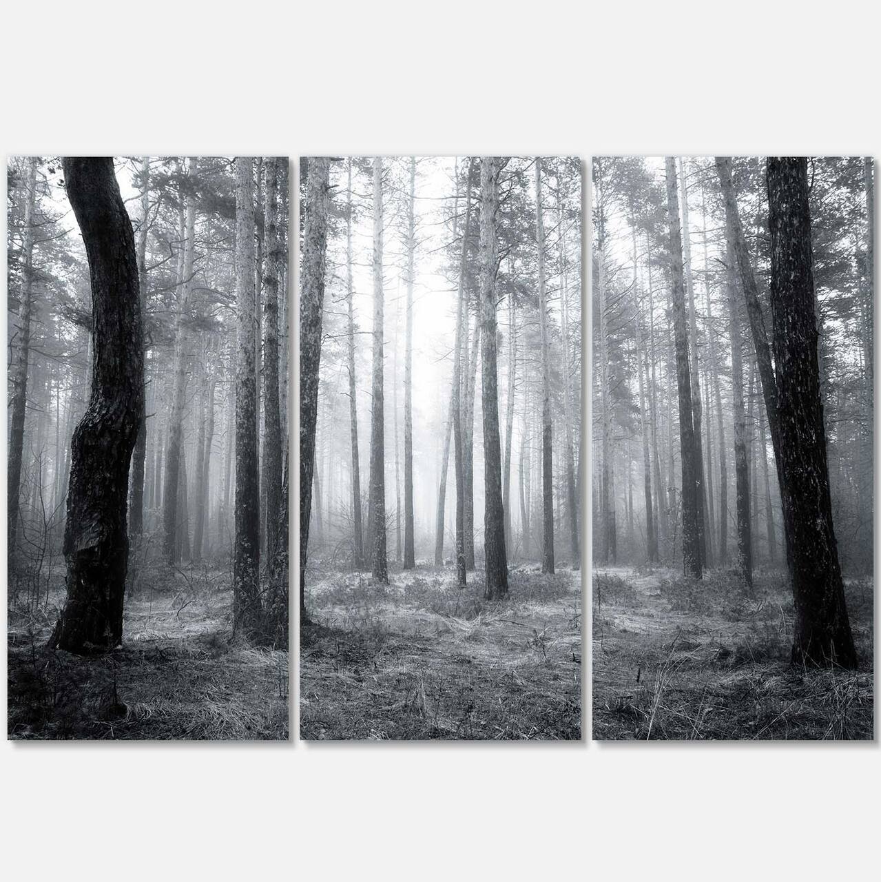 Designart - Black and White Foggy Forest - Forest Canvas Art Print